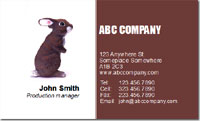Pet Care, veterenarian, rabbit, pet store, bunny,